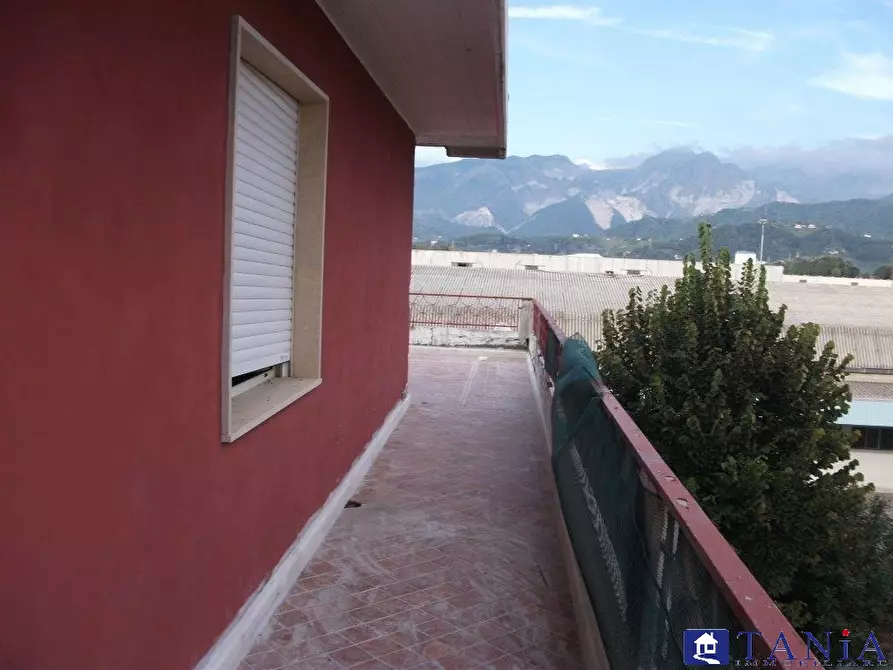 Immagine 5 di Attico in vendita  a Carrara