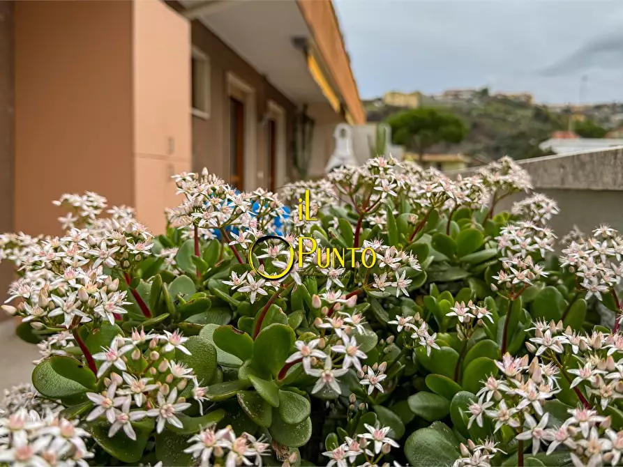 Immagine 4 di Attico in vendita  37 a San Remo