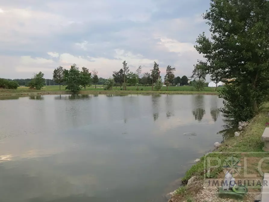 Immagine 8 di Azienda agricola in vendita  a Budrio