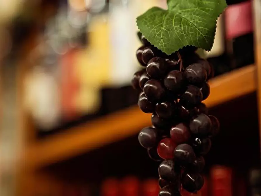 Immagine 2 di Licenza in vendita  a San Gimignano