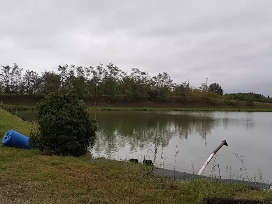 Immagine 6 di Azienda agricola in vendita  a Budrio