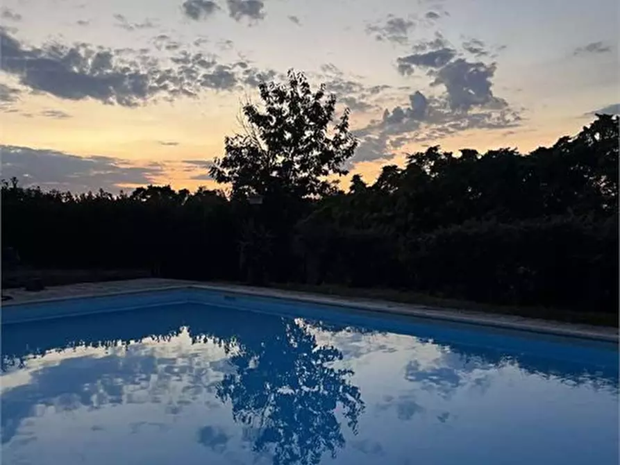 Immagine 3 di Azienda agricola in vendita  a Poggibonsi