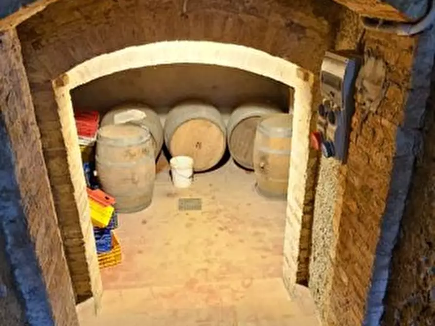 Immagine 3 di Azienda agricola in vendita  a San Gimignano