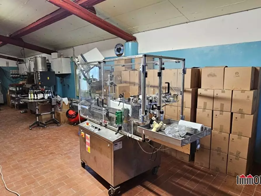 Immagine 5 di Azienda agricola in vendita  a San Gimignano