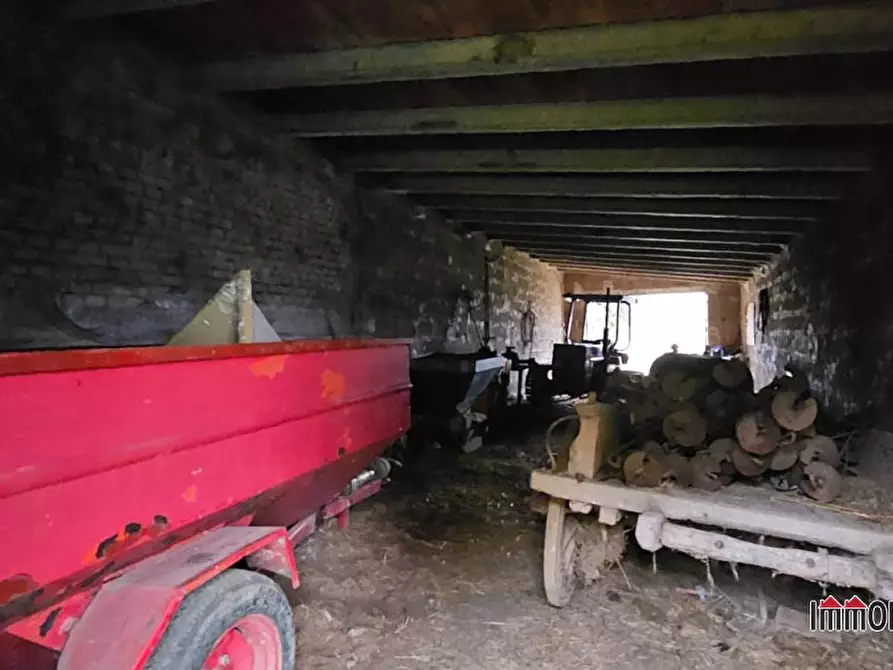 Immagine 6 di Azienda agricola in vendita  a San Gimignano