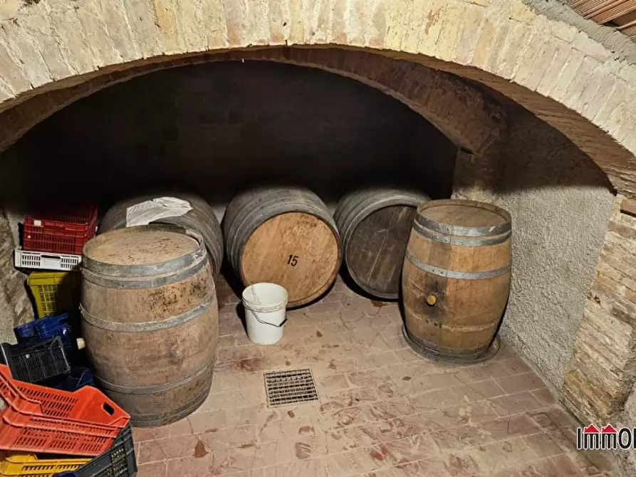 Immagine 2 di Azienda agricola in vendita  a San Gimignano