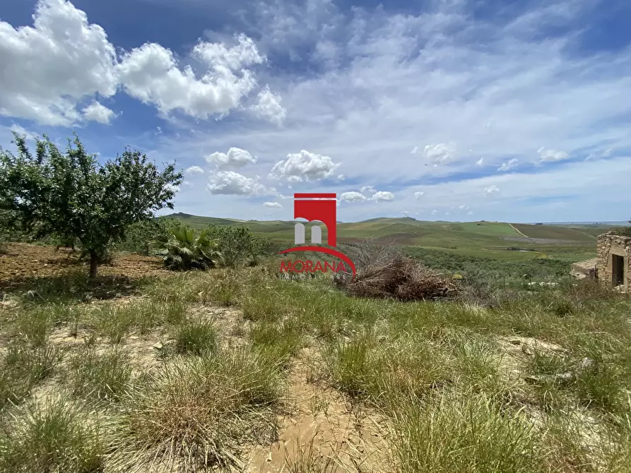 Immagine 8 di Casa indipendente in vendita  6 a Trapani