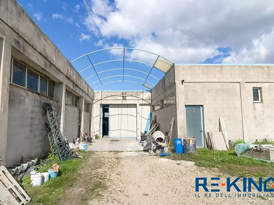 Immagine 3 di Capannone industriale in vendita  sn a Aradeo