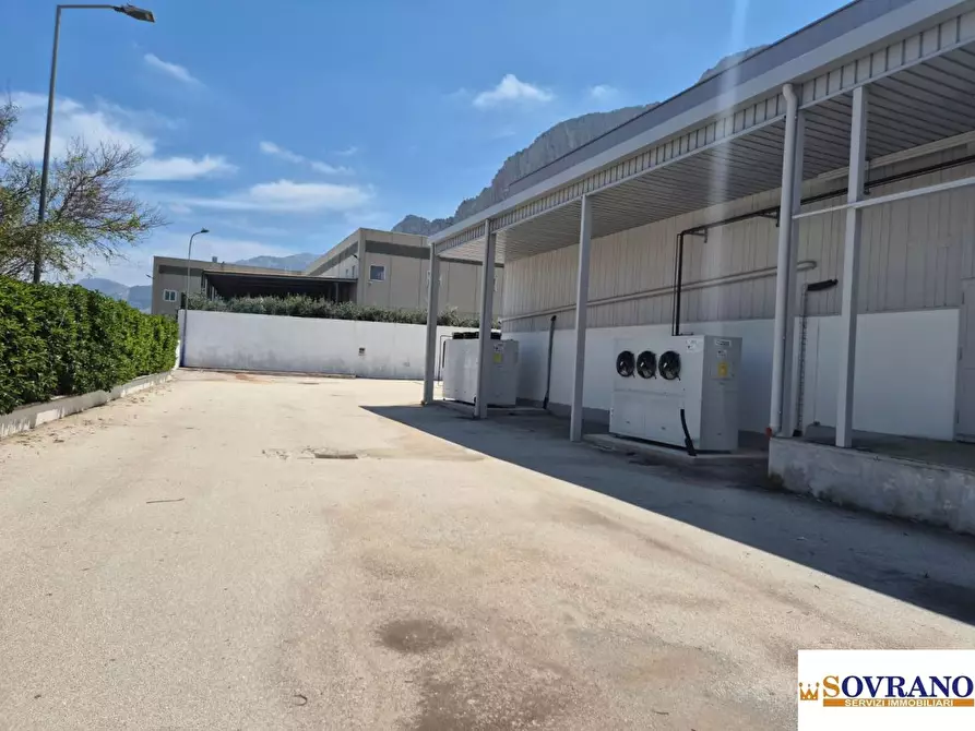 Immagine 6 di Capannone industriale in vendita  a Carini