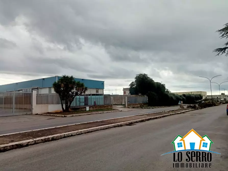 Immagine 3 di Capannone industriale in vendita  a Castelvetrano