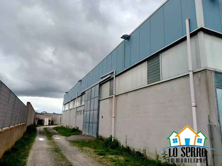 Immagine 2 di Capannone industriale in vendita  a Castelvetrano