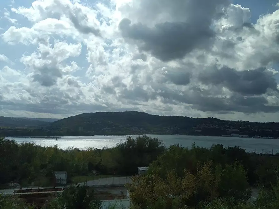 Immagine 10 di Capannone industriale in vendita  13 a Trieste