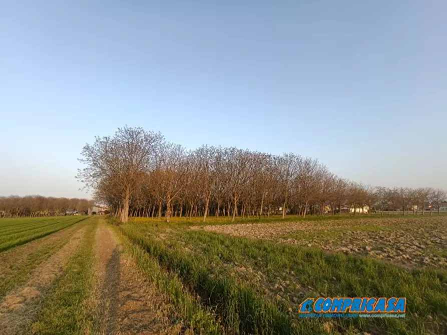 Immagine 4 di Capannone industriale in vendita  a Este