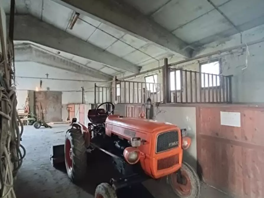 Immagine 1 di Capannone industriale in vendita  a Este