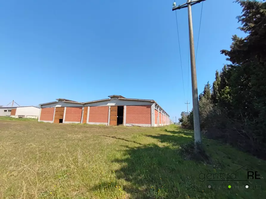 Immagine 3 di Capannone industriale in vendita  a Città Sant'angelo