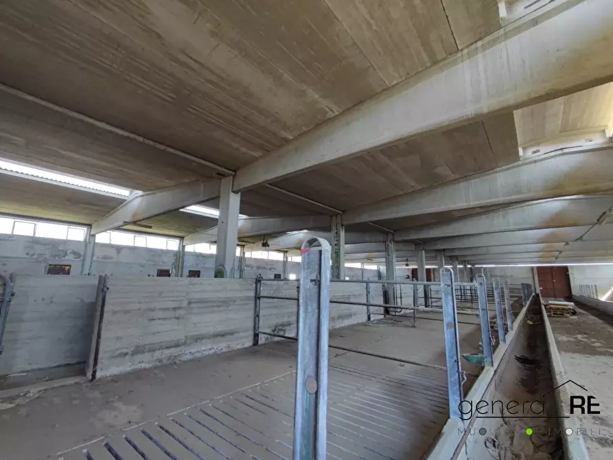 Immagine 2 di Capannone industriale in vendita  a Città Sant'angelo