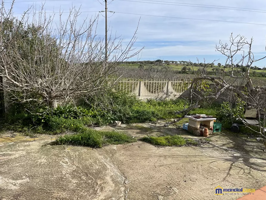 Immagine 3 di Villa in vendita  a Noto