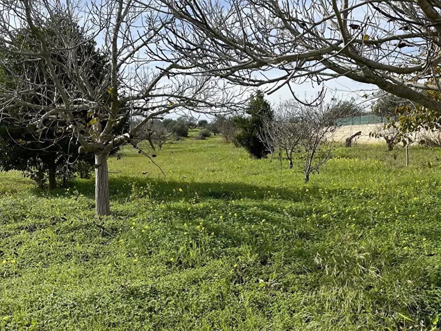 Immagine 7 di Villa in vendita  a Noto