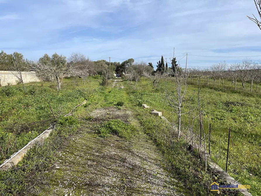 Immagine 8 di Villa in vendita  a Noto