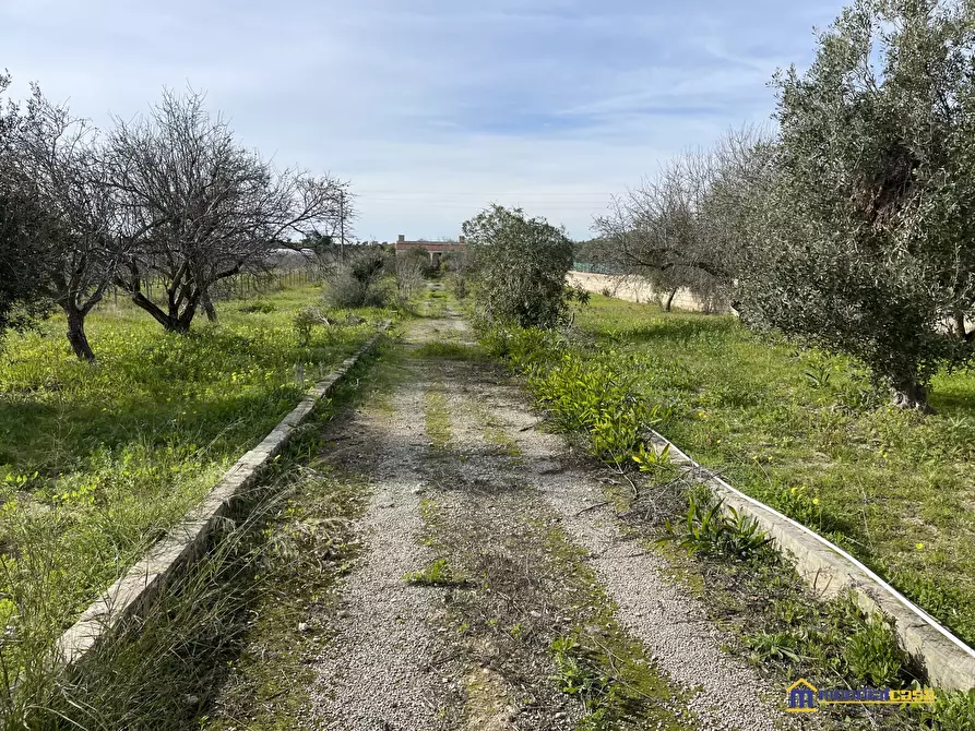 Immagine 2 di Villa in vendita  a Noto