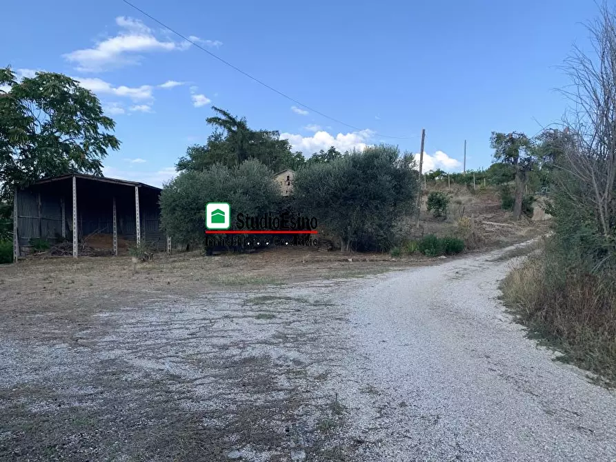 Immagine 2 di Casa indipendente in vendita  a Acquaviva Picena