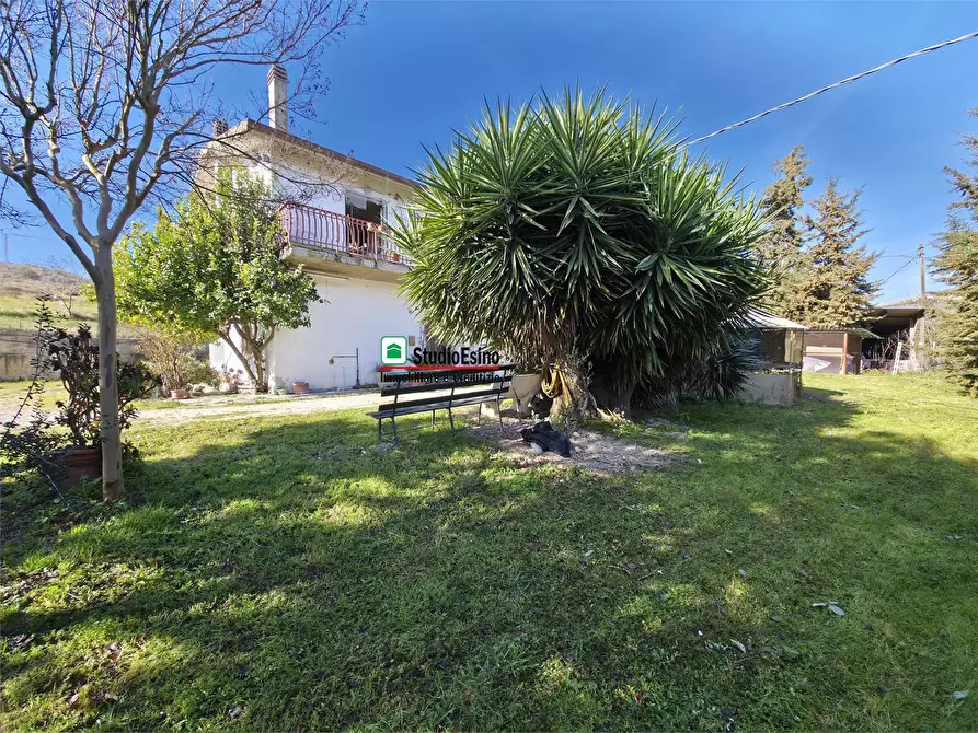 Immagine 2 di Casa indipendente in vendita  105 a Appignano Del Tronto