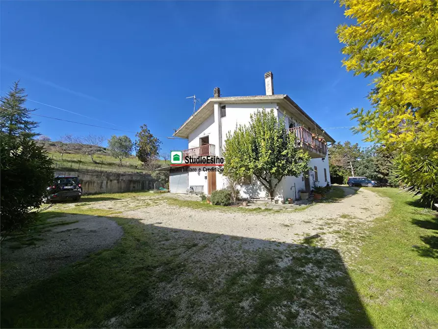 Immagine 3 di Casa indipendente in vendita  105 a Appignano Del Tronto