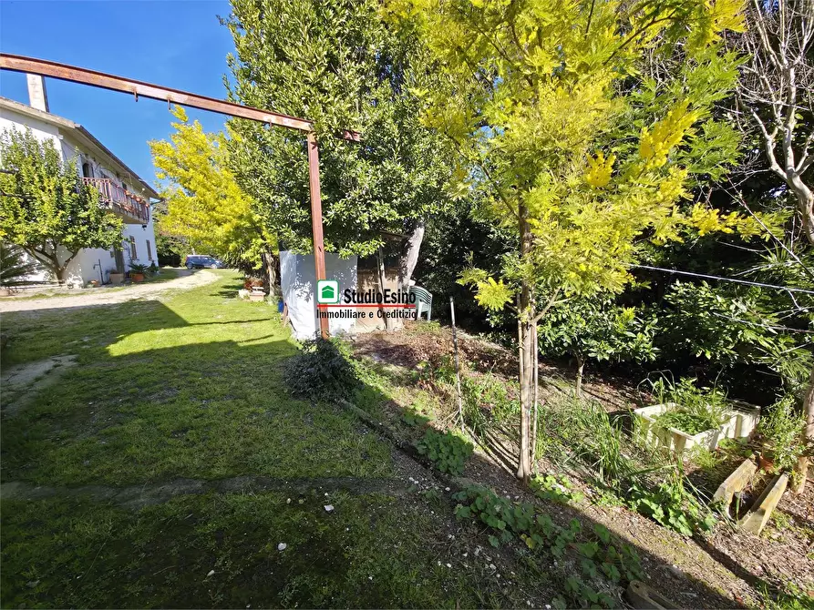 Immagine 10 di Casa indipendente in vendita  105 a Appignano Del Tronto