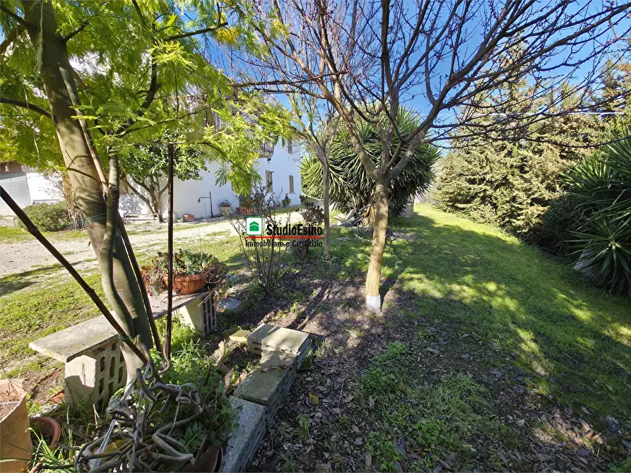 Immagine 9 di Casa indipendente in vendita  105 a Appignano Del Tronto