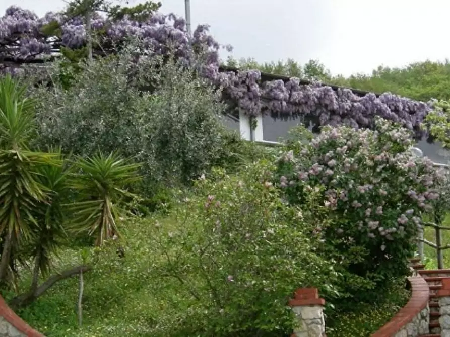 Immagine 9 di Casa indipendente in vendita  a Castelnuovo Magra