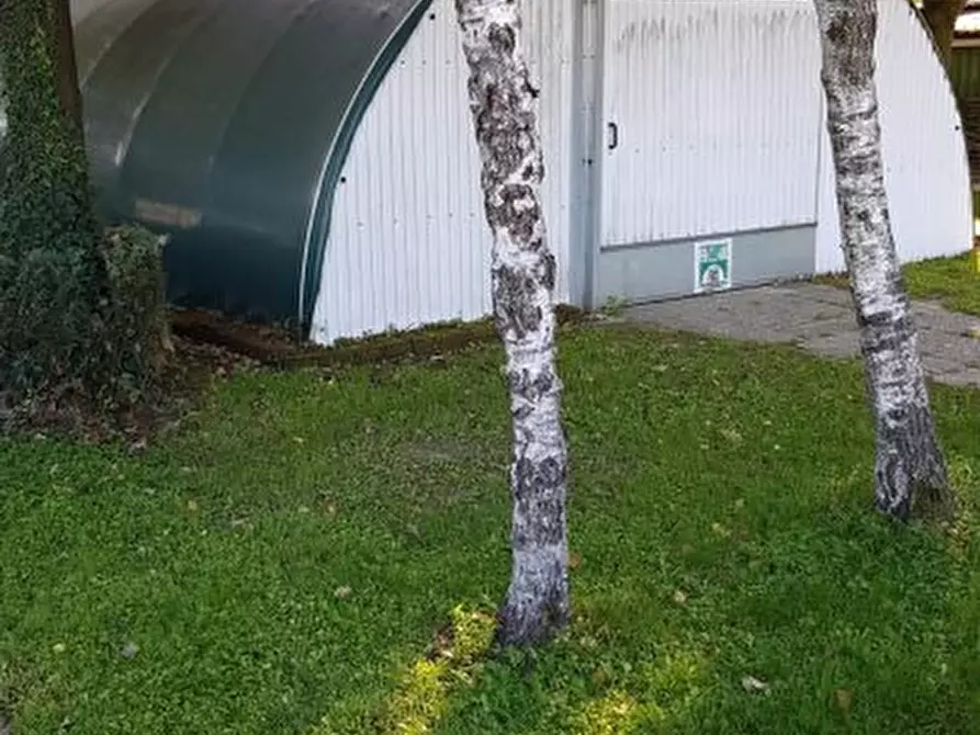 Immagine 5 di Casa indipendente in vendita  a Carpi