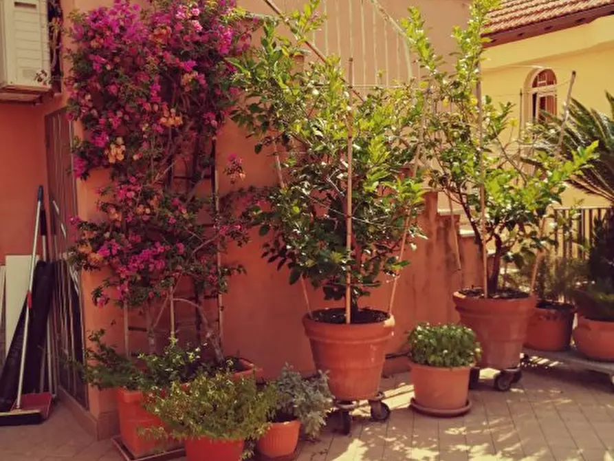 Immagine 2 di Casa semindipendente in vendita  a Ameglia