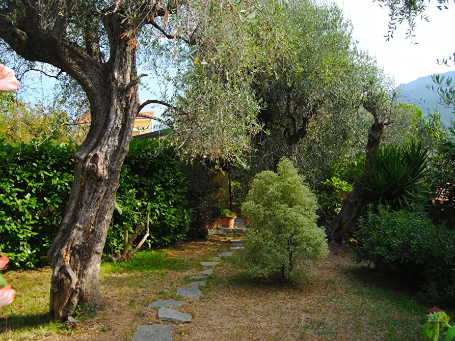 Immagine 9 di Casa indipendente in vendita  a Bordighera