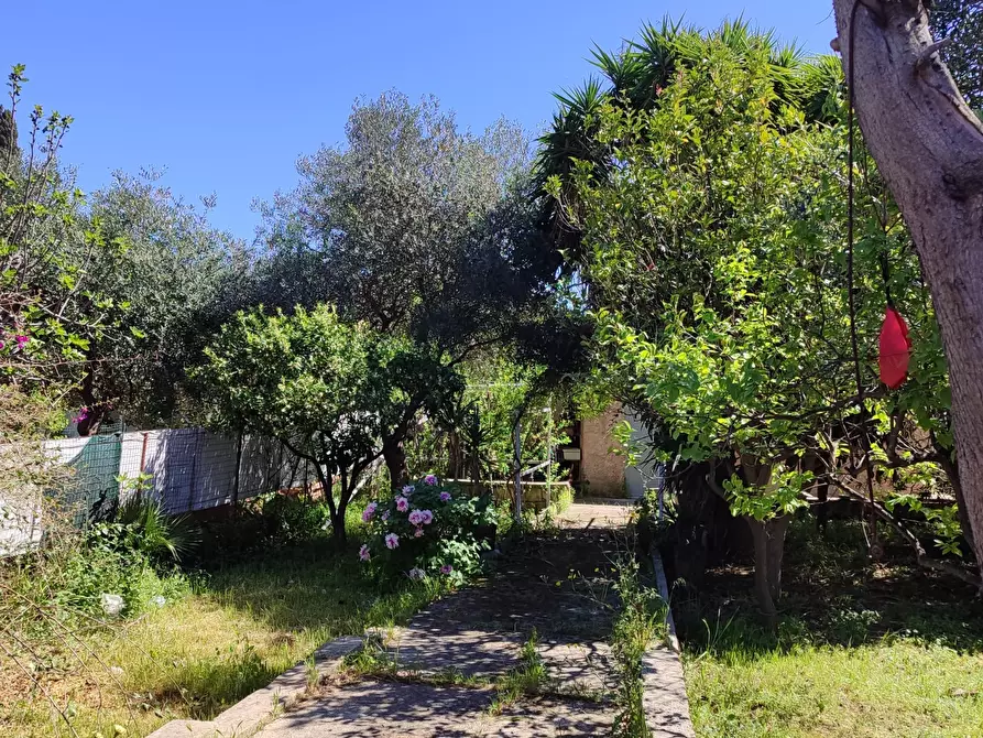Immagine 2 di Villa in vendita  a Bari