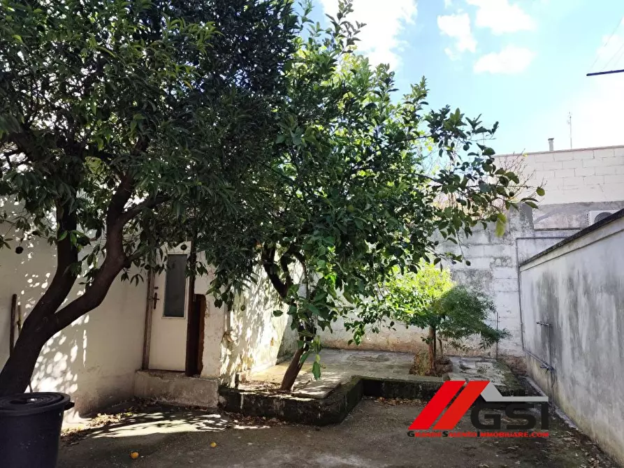 Immagine 7 di Villa in vendita  6 a San Michele Salentino