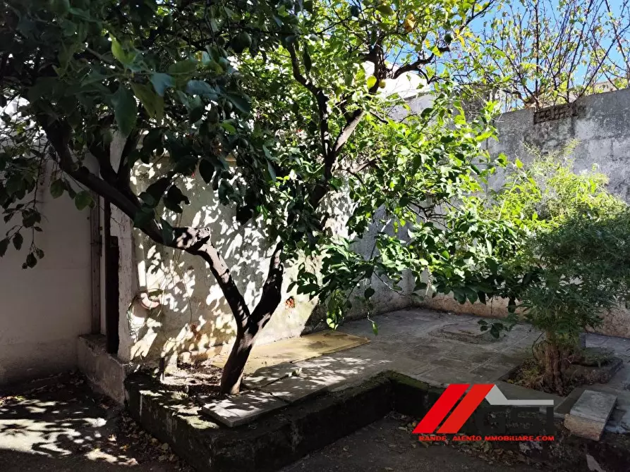 Immagine 1 di Villa in vendita  6 a San Michele Salentino