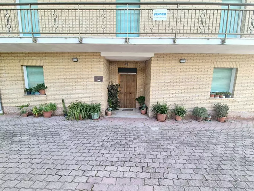 Immagine 8 di Villa in vendita  28 a Vacri