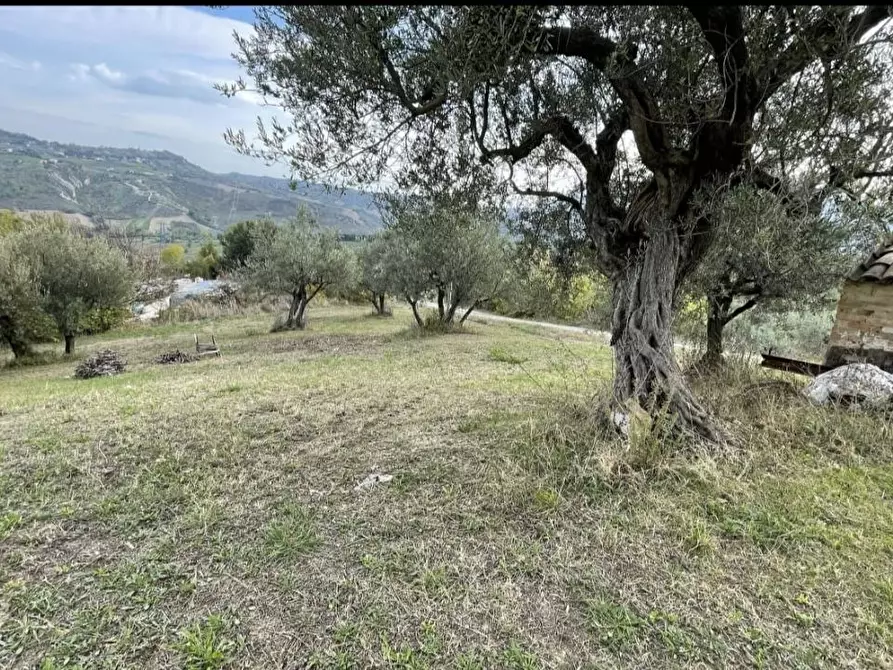 Immagine 7 di Villa in vendita  a Bucchianico