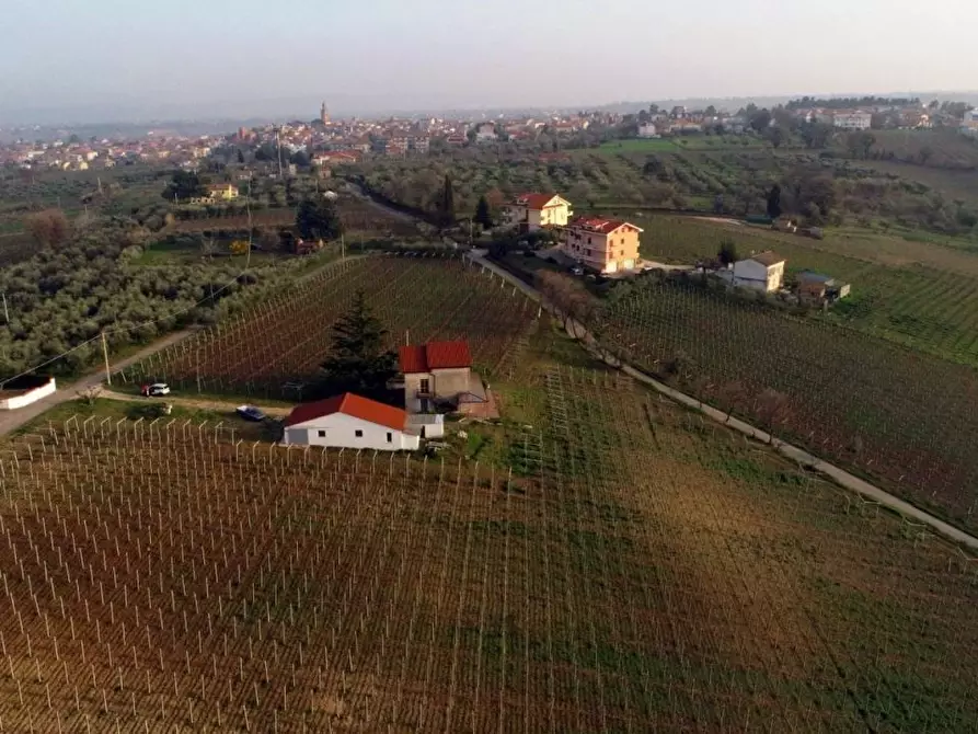 Immagine 7 di Villa in vendita  a Casalbordino