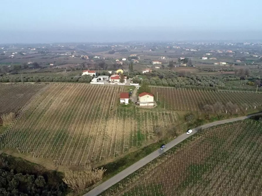 Immagine 8 di Villa in vendita  a Casalbordino