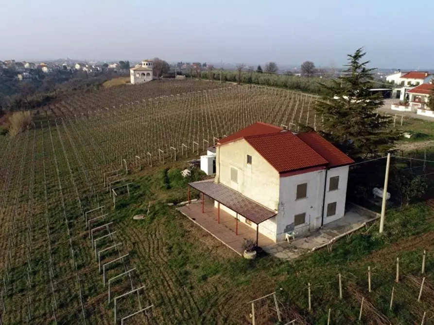 Immagine 3 di Villa in vendita  a Casalbordino