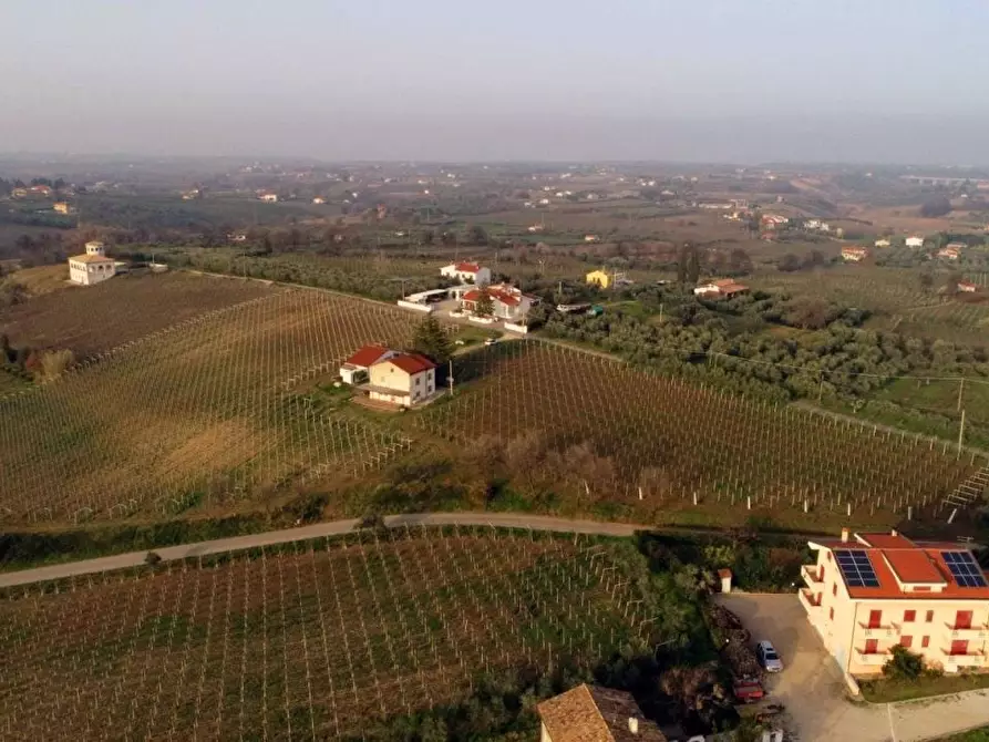 Immagine 5 di Villa in vendita  a Casalbordino