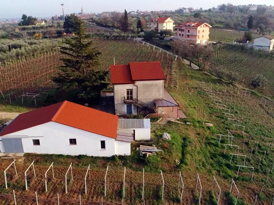 Immagine 2 di Villa in vendita  a Casalbordino