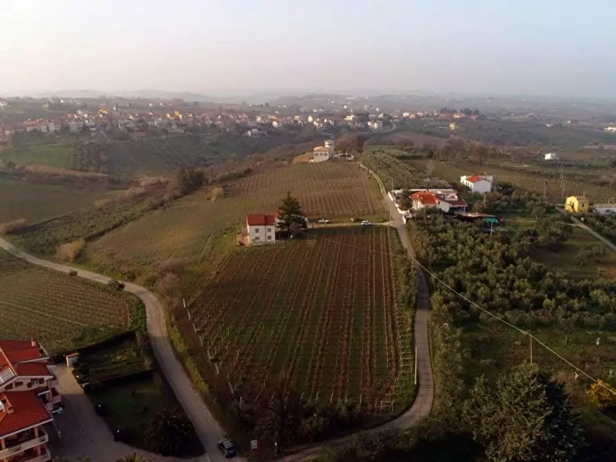 Immagine 6 di Villa in vendita  a Casalbordino