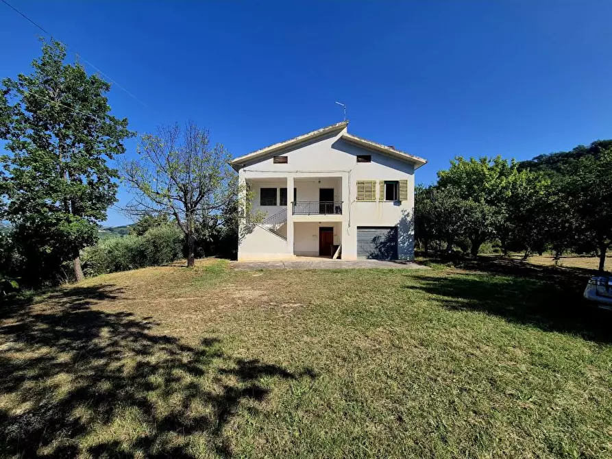 Immagine 3 di Villa in vendita  1 a Vacri