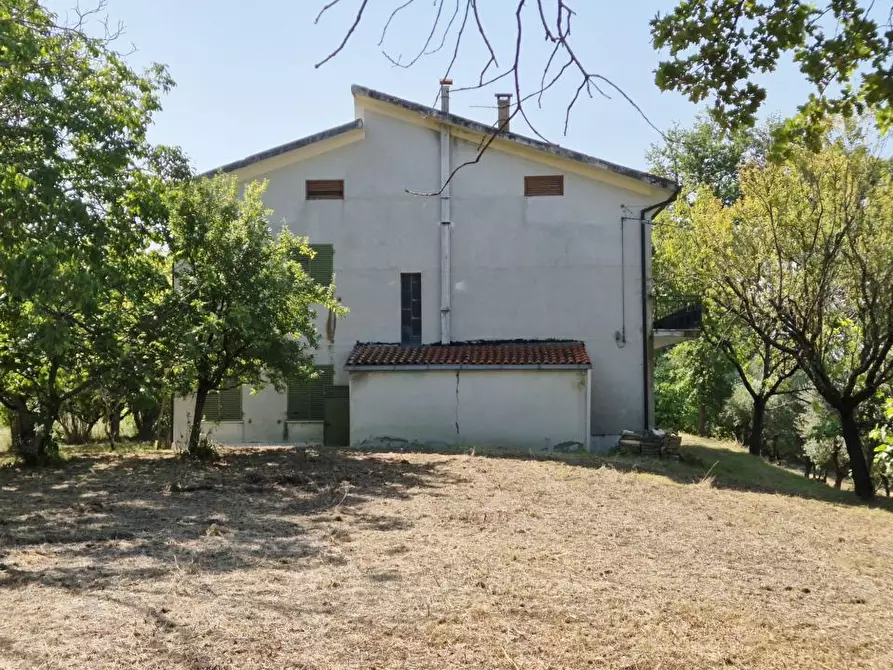 Immagine 5 di Villa in vendita  1 a Vacri