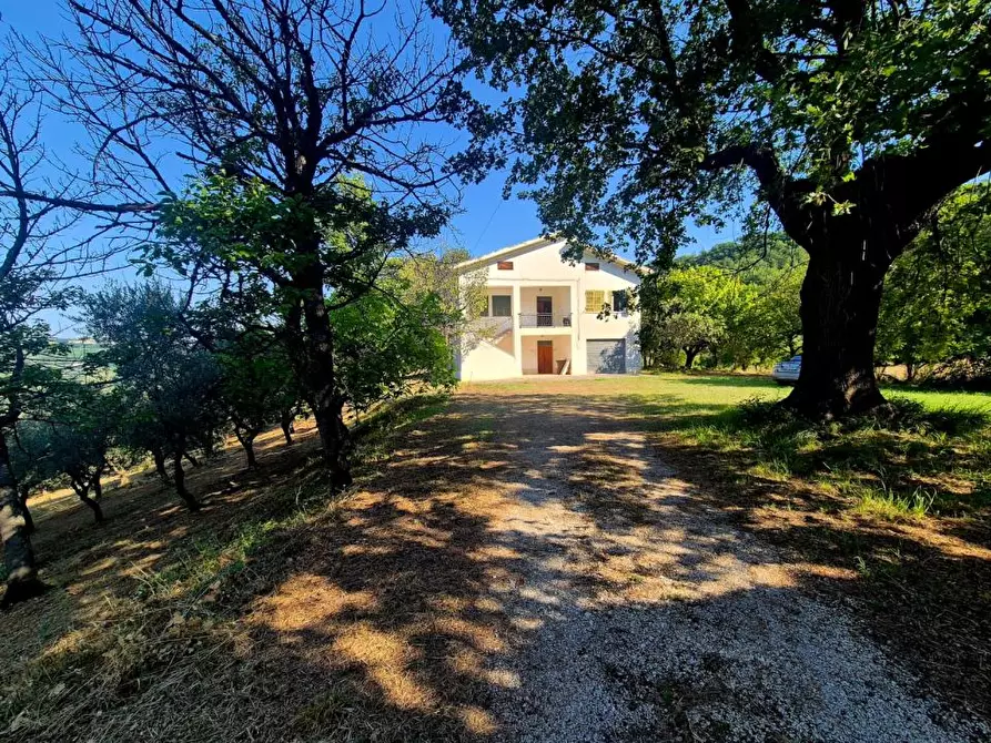 Immagine 1 di Villa in vendita  1 a Vacri