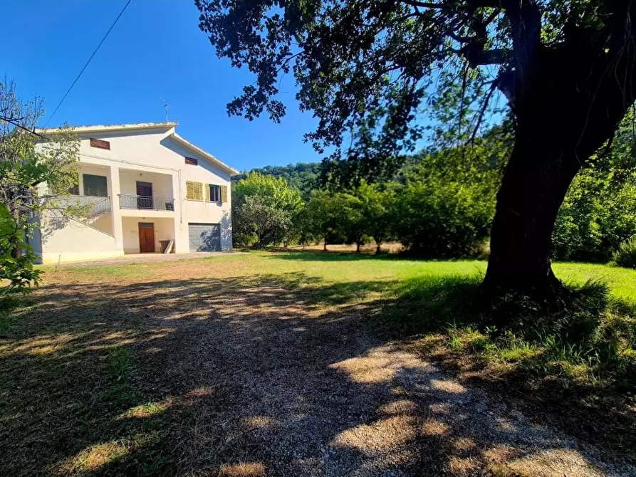 Immagine 2 di Villa in vendita  1 a Vacri