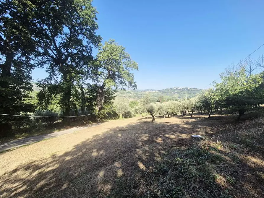 Immagine 6 di Villa in vendita  1 a Vacri