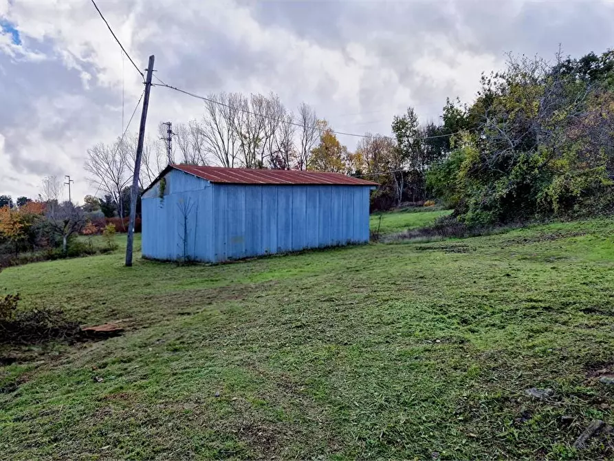 Immagine 9 di Villa in vendita  39 a San Martino Sulla Marrucina